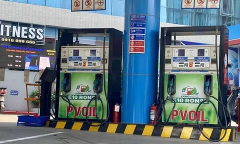 Các cửa hàng xăng dầu ở Hà Nội đang khẩn trương hoàn tất nâng cấp hạ tầng, sẵn sàng bán xăng E10 từ ngày 1/8.