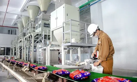 Cổ phiếu hoá chất DGC được định giá trên 120.000 đồng