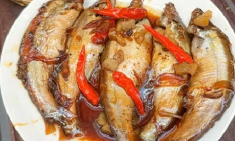 Loài cá ở Việt Nam nghe tên 'hết hồn', xưa không ai ngó nay thành đặc sản nổi tiếng, giá cao vẫn hút khách sành ăn