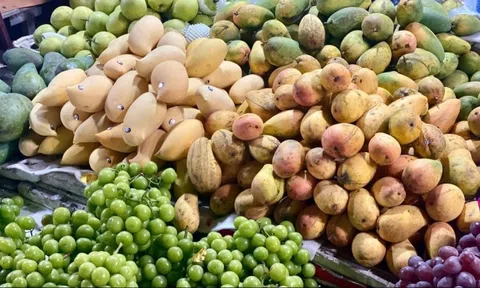 Loại xoài vàng ươm, thơm nức 'gây sốt' thị trường hoa quả: Hình dáng lạ mắt, giá rẻ, xuất xứ gây tranh cãi