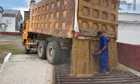 Cuba phá lệ 66 năm với đối tác Việt, tương lai không cần vượt nửa vòng trái đất để mua gạo