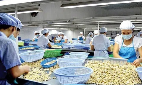 Mỹ áp thuế 20% với hàng Việt Nam: Doanh nghiệp, chuyên gia kỳ vọng giảm thêm