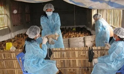 Doanh nghiệp tới tận trường săn đón, thu nhập 30 triệu đồng/tháng: Một ngành tại Học viện Nông nghiệp Việt Nam âm thầm lên ngôi