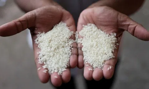 Đường dây gạo giả gây thiệt hại hơn 6 tỷ USD tại cường quốc gạo châu Á, Tổng thống thẳng tay trị loạt ông lớn đứng sau