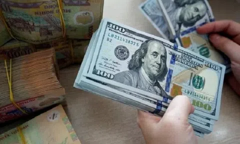 Tỷ giá hôm nay 4/8: Giá USD đi lên, NDT giảm tại ngân hàng