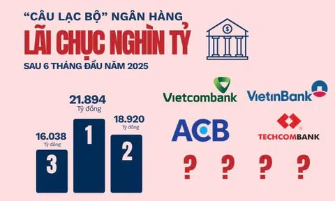 Kết thúc 6 tháng đầu năm, câu lạc bộ ngân hàng lãi chục nghìn tỷ chốt sổ với 8 thành viên