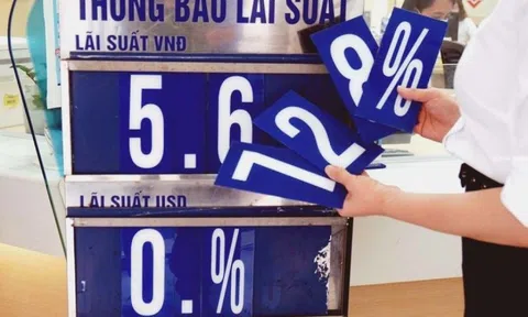 Chuyên gia dự báo xu hướng lãi suất cuối năm 2025
