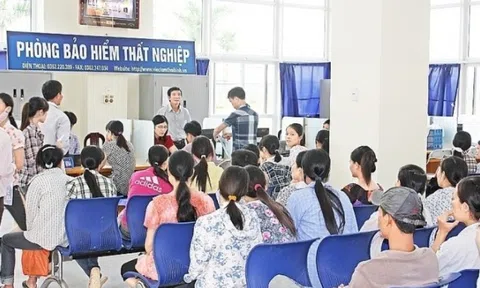 Từ 1/1/2026: Nhóm đối tượng lao động nghỉ việc nhưng sẽ không được hưởng trợ cấp thất nghiệp, cần biết để thực hiện nghiêm chỉnh, tránh mất quyền lợi