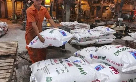 Các doanh nghiệp ngành phân bón, hóa chất làm ăn ra sao nửa đầu năm 2025?