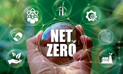 Liên minh Ngân hàng Net-Zero sụp đổ