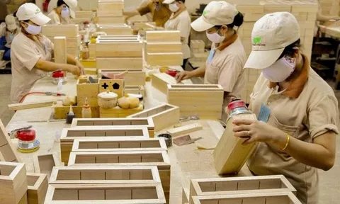 Doanh nghiệp Việt thấp thỏm trước động thái điều tra gỗ nội thất của Mỹ