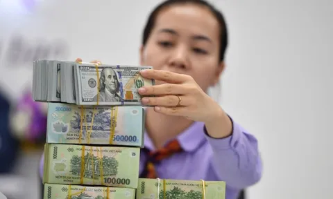 TS Bùi Lê Minh: Đang có động thái 'câu giờ' chờ chính sách tiền tệ nới lỏng lan tỏa