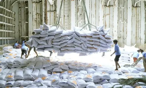 Tự hào về cường quốc lương thực của thế giới