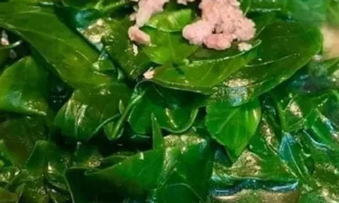 Đặc sản độc lạ từ cây dại, hương vị lạ miệng, bán 200.000 đồng/kg vẫn hết veo, người thành phố mê mẩn