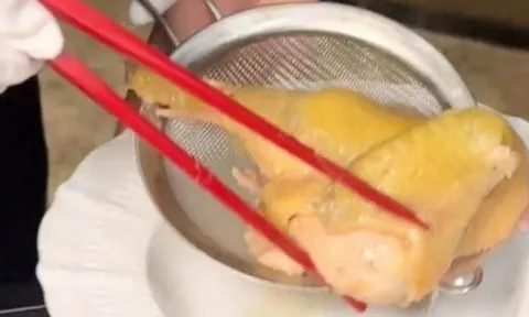 Bữa ăn với nửa con gà, khách hàng phải trả hơn 7 triệu đồng: Phía nhà hàng giải thích vì ‘nước dùng giàu collagen’