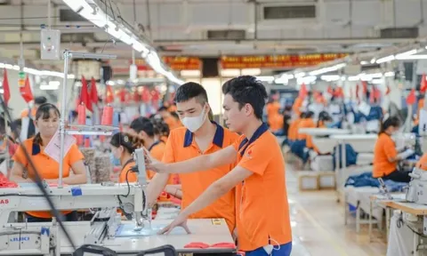 Hàng Việt xuất Mỹ tăng mạnh bất chấp chính sách thuế mới