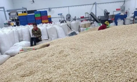 Động lực khiến Trung Quốc tăng thu mua loại hạt mà Việt Nam giữ ngôi vương xuất khẩu suốt 15 năm, tốc độ khiến Mỹ hụt hơi
