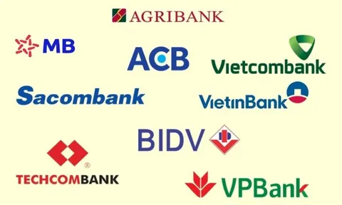 Top 100 thương hiệu giá trị nhất Việt Nam 2025: Ngân hàng chiếm 6/10 vị trí dẫn đầu