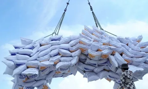 Lo 'tắc' gần nửa triệu tấn gạo Việt vì hành động của Indonesia, Philippines
