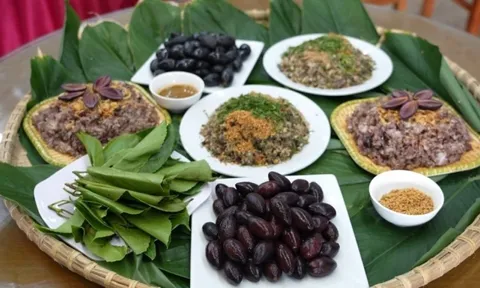 Một làng ở Bắc Ninh trúng đậm nhờ trồng loại cây 'càng hái càng ra tiền', quả tươi đang vào mùa bán 120.000 đồng/kg