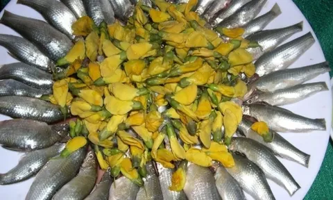 Loại 'cá thần' chỉ xuất hiện vào mùa nước nổi ở miền Tây, giá 300.000 đồng/kg vẫn khan hàng