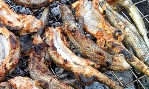 Nhiều người nhìn 'sợ chết khiếp', nhưng đây lại là đặc sản đắt đỏ, giá 350.000 đồng/kg vẫn được săn lùng