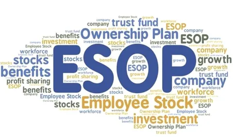 ESOP là gì? Ai là người được mua cổ phiếu “giá rẻ” và ảnh hưởng thế nào tới nhà đầu tư?
