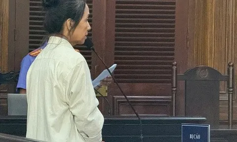 Nữ kế toán chiếm đoạt hơn 18,7 tỉ đồng