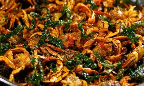 Đặc sản đồng quê hiếm có, 'của ngon vật lạ' khiến người sành ăn mê mẩn, giá tới 250.000 đồng/kg