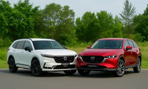 Bức tranh thị trường ô tô 8 tháng đầu năm: SUV áp đảo, MPV bứt tốc, sedan ‘hụt hơi’ - người Việt đang thay đổi thị hiếu mua xe?