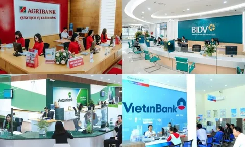 Lãi suất 24 tháng tại Vietcombank, VietinBank, BIDV, Agribank: Gửi ở đâu nhận lãi cao nhất?