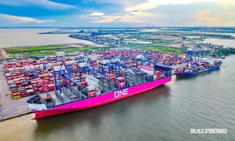 Siêu tàu màu hồng lớn nhất từ trước đến nay cập cảng miền Bắc Việt Nam: Ai đứng sau?