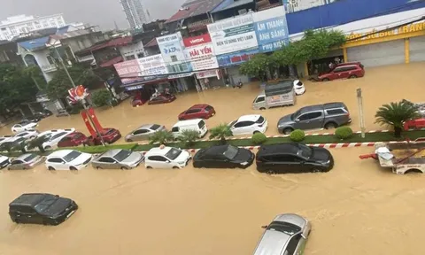 Bão liên tiếp gây thiệt hại, Bảo hiểm Bảo Việt chi bồi thường ước 119 tỷ đồng