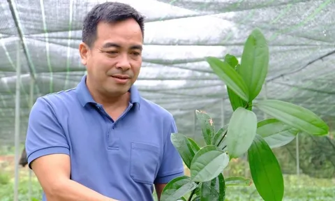 Rời thành phố với mức thu nhập ổn định, bán cả nhà, người đàn ông ở Đà Nẵng bị cho là ‘điên’ khi quyết thực hiện… đi theo giấc mơ mới