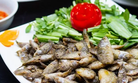 Loại cá xưa đầy ngoài đồng, giờ 'lên đời' thành đặc sản phố thị giá cao vẫn được săn lùng