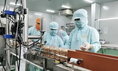 Thủ tướng yêu cầu doanh nghiệp Nhà nước báo cáo kết quả hoạt động 3 quý đầu năm