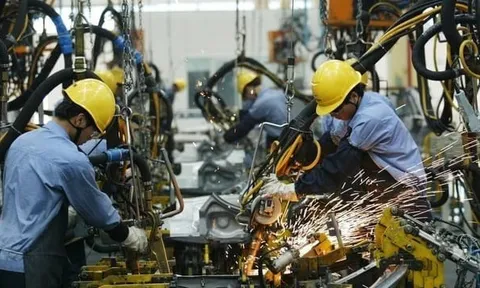 Hơn 16.000 'việc tìm người' tại TP.HCM, 4 ngành 'ế chỏng chơ', công ty đăng tuyển mỏi tay nhưng ứng viên vẫn mất hút