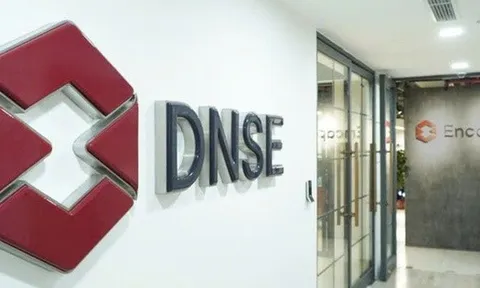 Chứng khoán DNSE chuẩn bị chào bán hơn 85 triệu cổ phiếu rẻ bằng một nửa thị giá