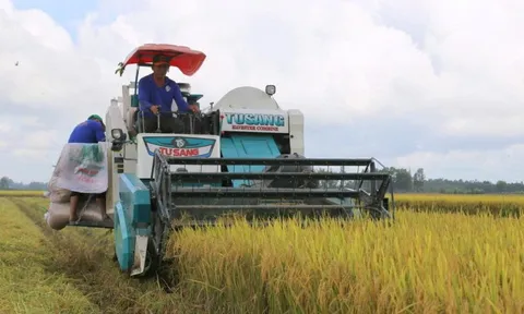 Công nghệ mở đường cho sản xuất lúa chất lượng cao, phát thải thấp ở ĐBSCL