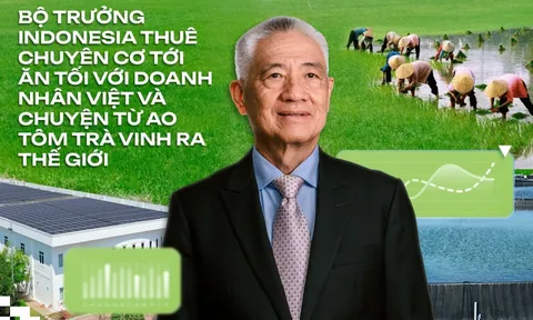 Doanh nhân Việt chọn trở về làm "kẻ khờ khạo": Biết nông dân sẽ thua mà không giúp được, đau lắm chứ!