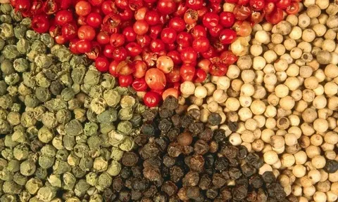 Giá 'vàng đen’ của Việt Nam tăng chóng mặt, nước ta thu gần 1,3 tỷ USD trong 9 tháng
