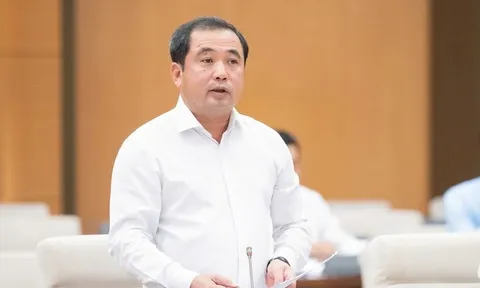Bổ sung các quy định riêng về quản lý, chế biến và sử dụng đất hiếm