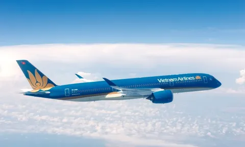 Vietnam Airlines: Thẻ tín dụng, thông tin thanh toán, mật khẩu… của khách hàng vẫn an toàn sau sự cố