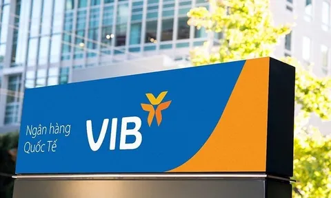 VIB hoàn tất nộp bổ sung 5,75 tỷ đồng thuế