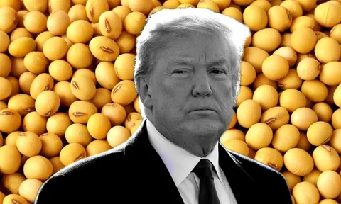 Động thái mới nhất của ông Trump khi Trung Quốc 'bom hàng' đậu nành