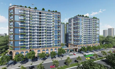 Vị thế an cư tại Dự án cao cấp bậc nhất thủ đô – Platinum Long Biên