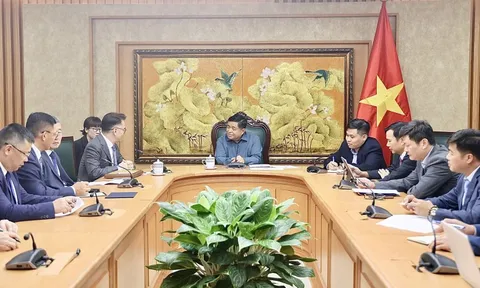 Khuyến khích Tập đoàn TCL chuyển giao công nghệ và hỗ trợ doanh nghiệp Việt Nam tham gia chuỗi cung ứng