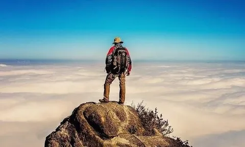 Một cổ phiếu đầu ngành tăng vùn vụt lên đỉnh lịch sử sau khi báo lãi quý 3 kỷ lục