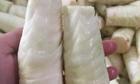 Từ phần gốc tưởng bỏ đi, nay thành đặc sản lạ miệng dân thành phố săn lùng giá 75.000 đồng/kg
