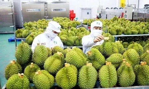 Trung Quốc ra quy định mới về nhập khẩu nông sản, doanh nghiệp Việt cần chú ý